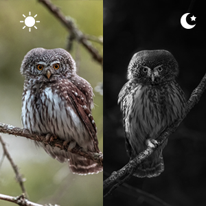Espaços da visão noturna